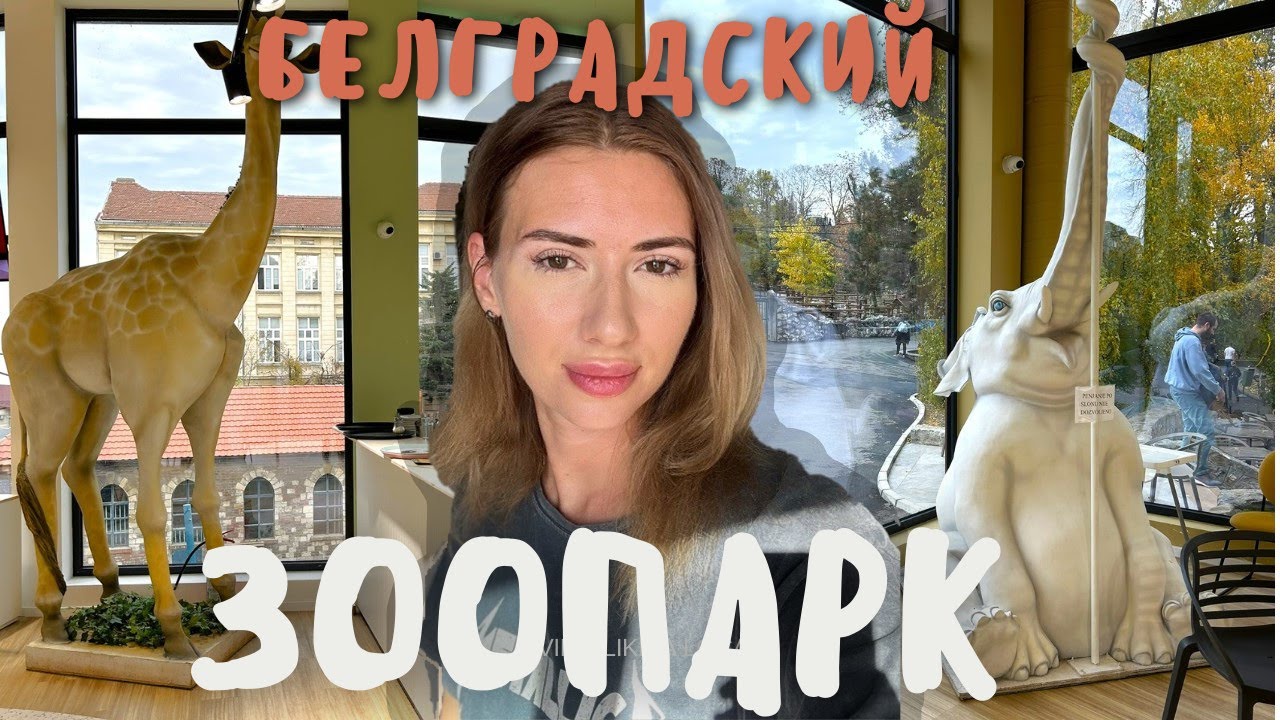 Прогулка по зоопарку в городе Белград, Сербия
