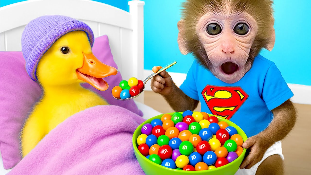Mono BonBon va a cuidar al patito adorable y hace una lluvia de caramelos arcoíris - Mono HT Esp