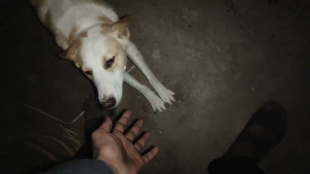 (100) day 86 ||Sunny dabhi vlogs ❤️||