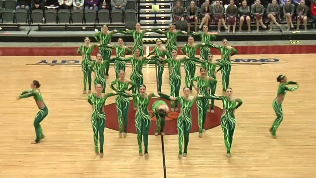 Ashwaubenon Dance Team - D2 Kick - 2023 - 2024 (Tattoo - Loreen) WACPC State Runners Up - 2nd Place