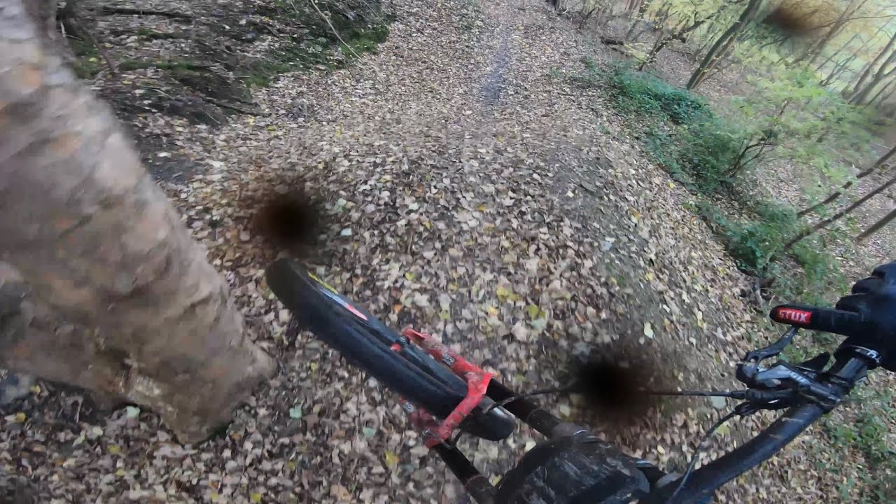 Llangollen Downhill mtb (day 2) fast n loose