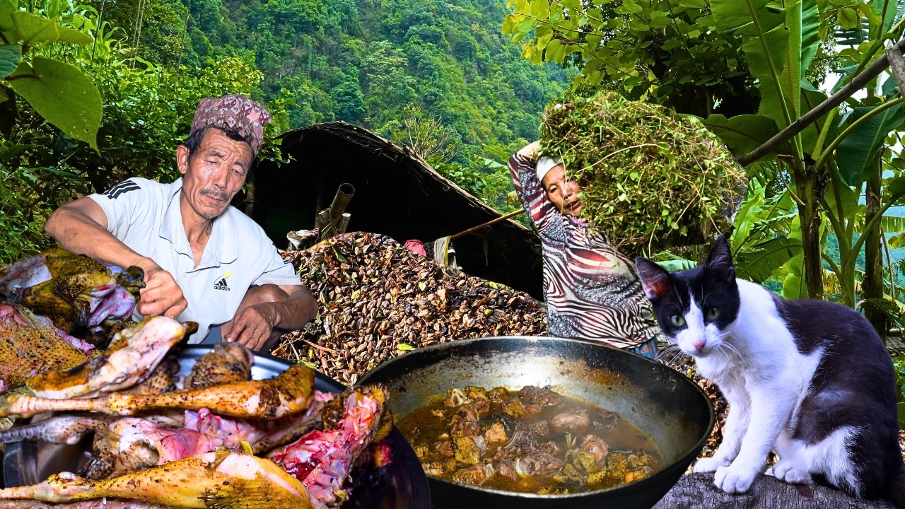 Harvesting Buckwheat & Cooking Fresh Village Chicken Curry | Real Rural Life in Eastern  Nepal