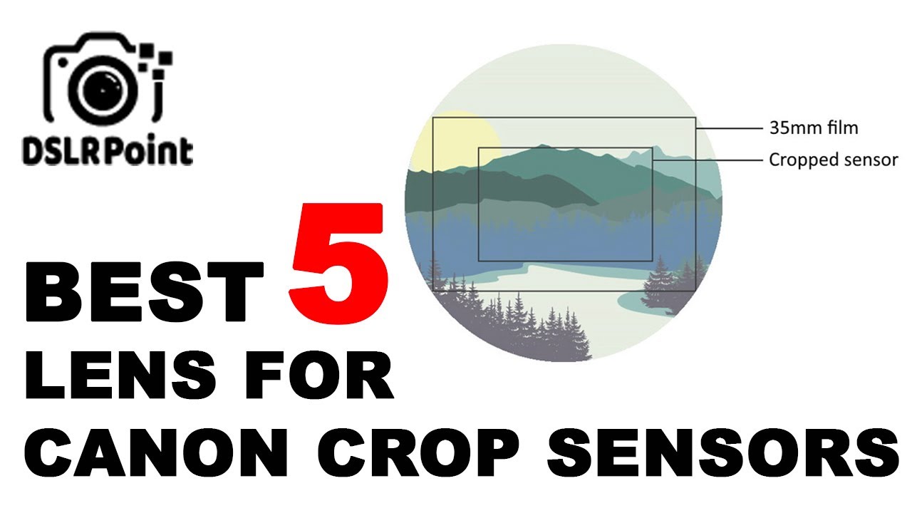 Top 5 Best Lens for Canon Crop Sensors