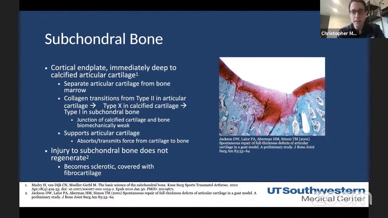 Cartilage repair for the Knee Joint