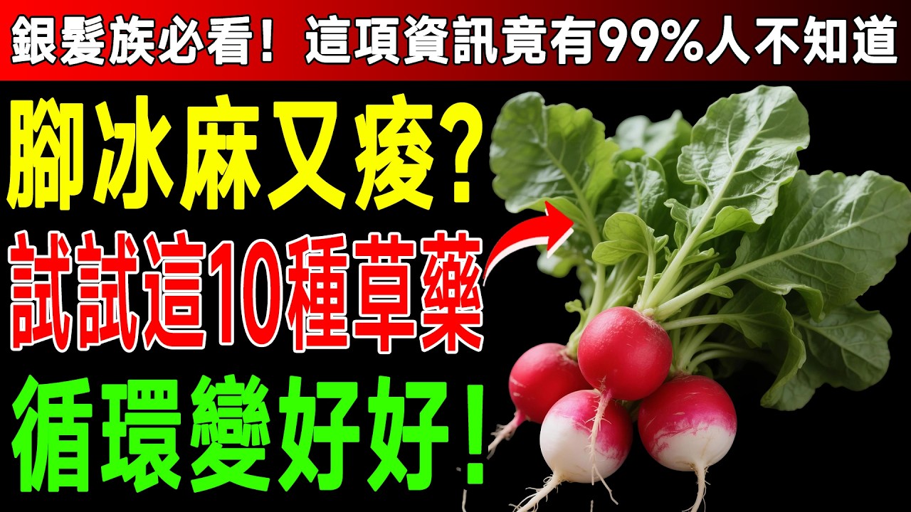 權威中醫師警告：腳冷發麻不是老化！這10種「天然通血管草藥」讓血液流到腳尖，晚上睡覺腳不再冰冷！ #末梢循環 #腳冷 #銀杏 #銀髮族養生