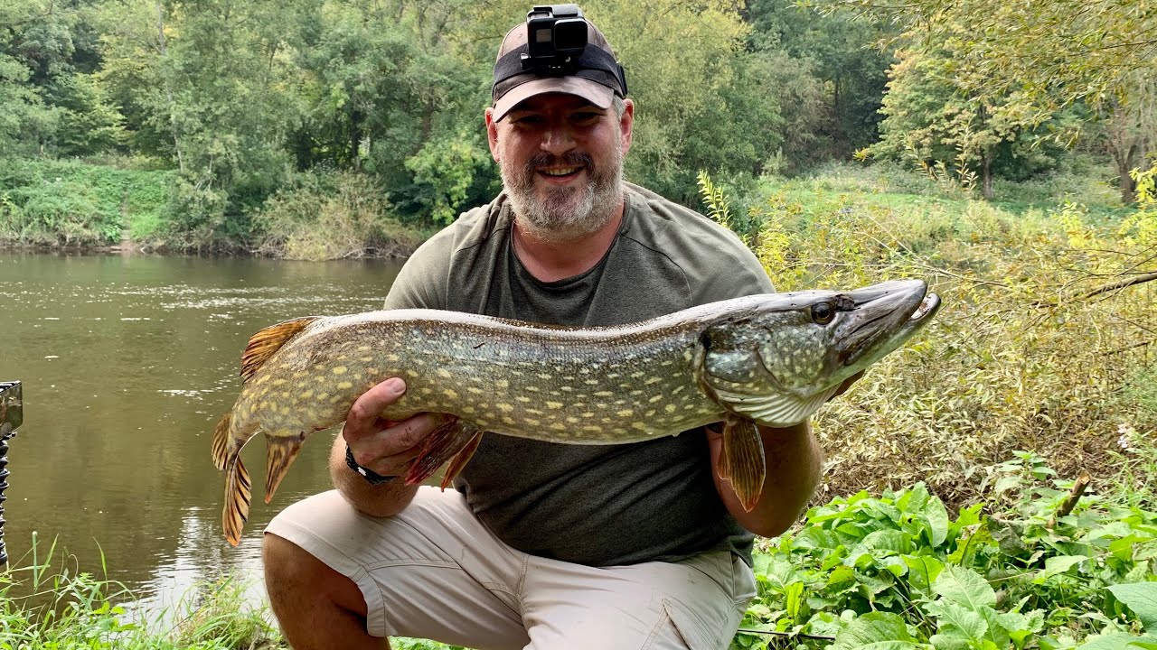 Pike fishing the river Severn