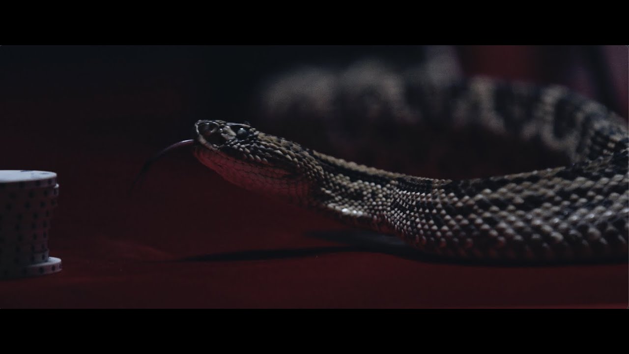 Upon A Burning Body - 