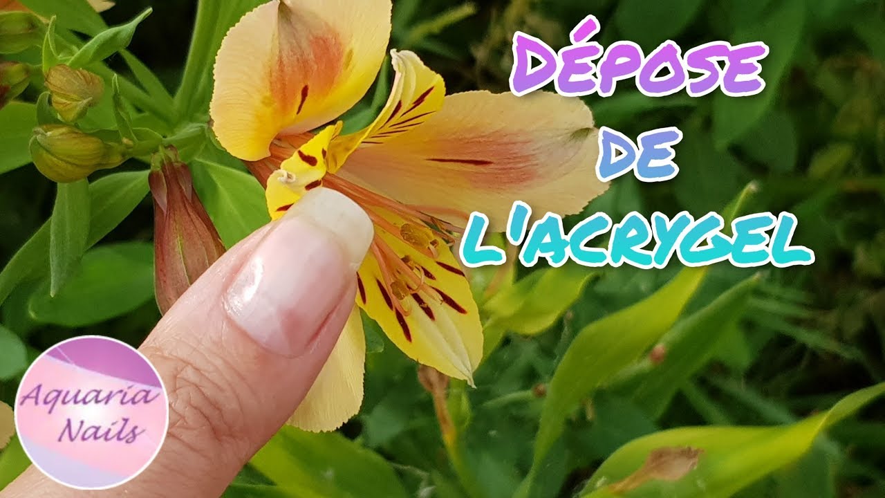 Comment déposer l'acrygel / polygel
