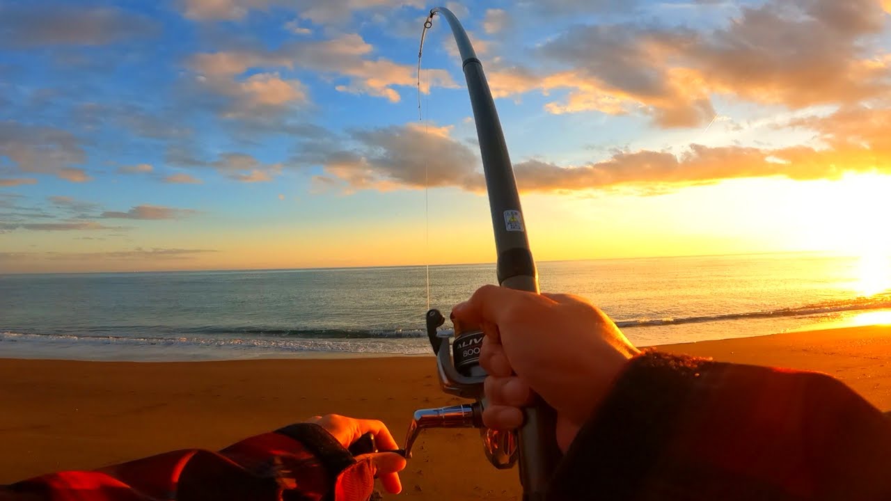水面爆発！最高ランクの鮭を釣って贅沢に食べる