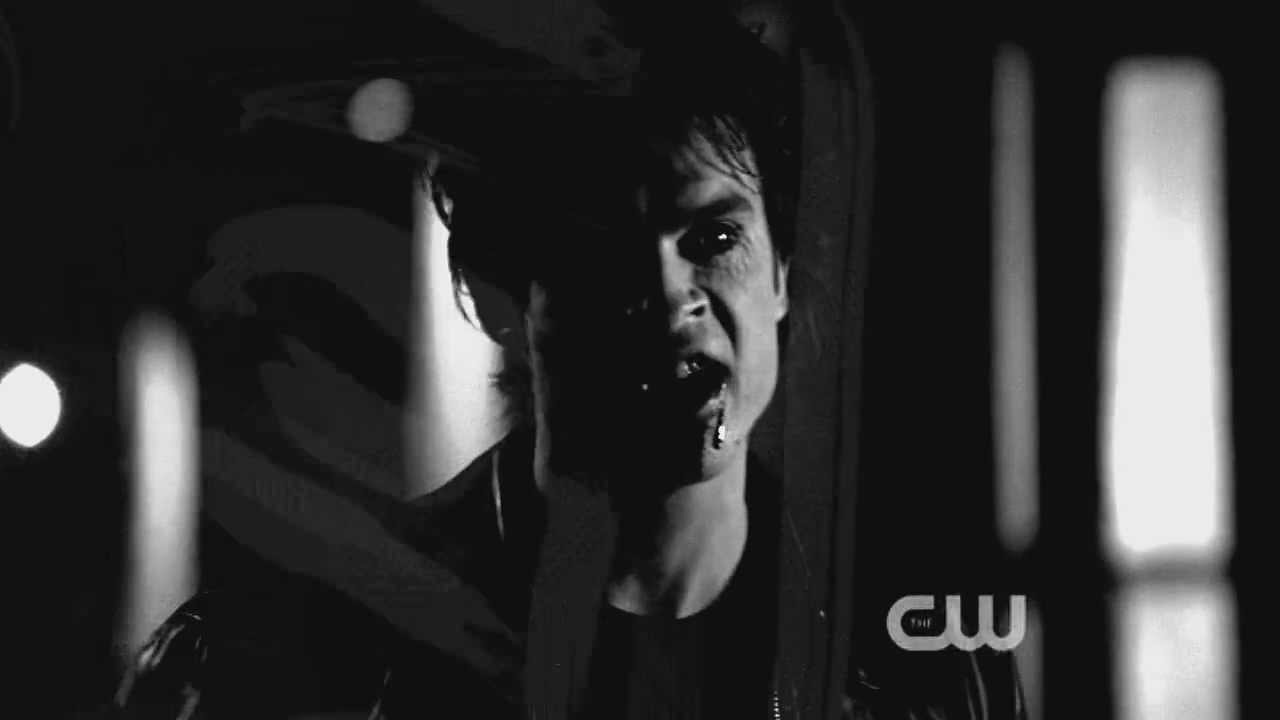 Damon Salvatore | The Animal.