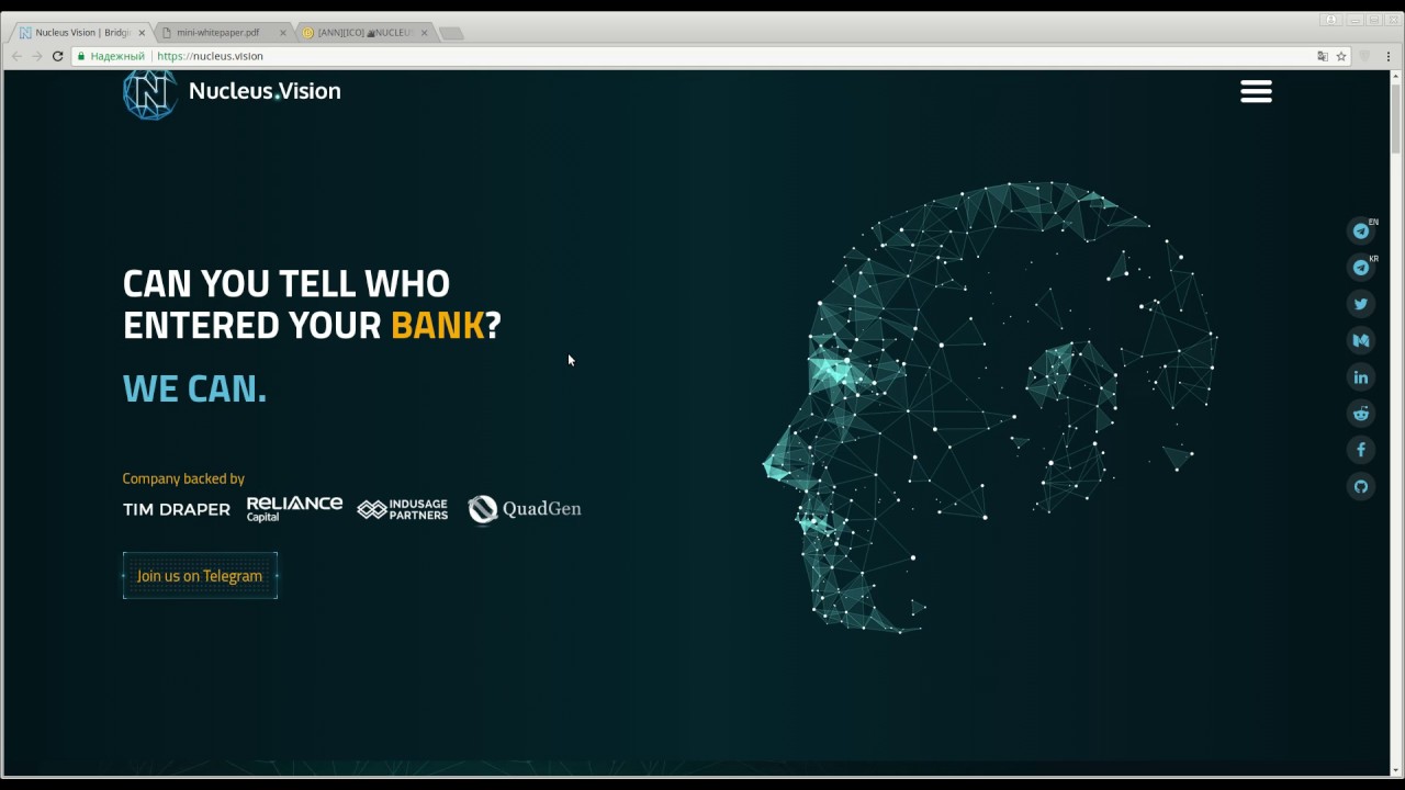 Nucleus Vision - обзор проекта. (author Burmik123)