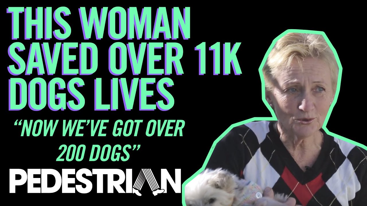 The Woman Who Saved Over 11,000 Dog's Lives | PEDESTRIAN.TV