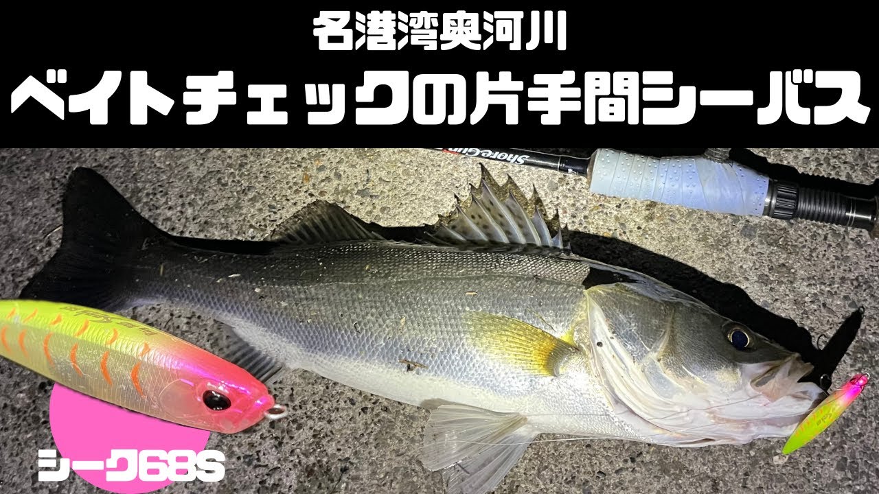 ベイトチェックの片手間にシーバス釣る 名港湾奥河川