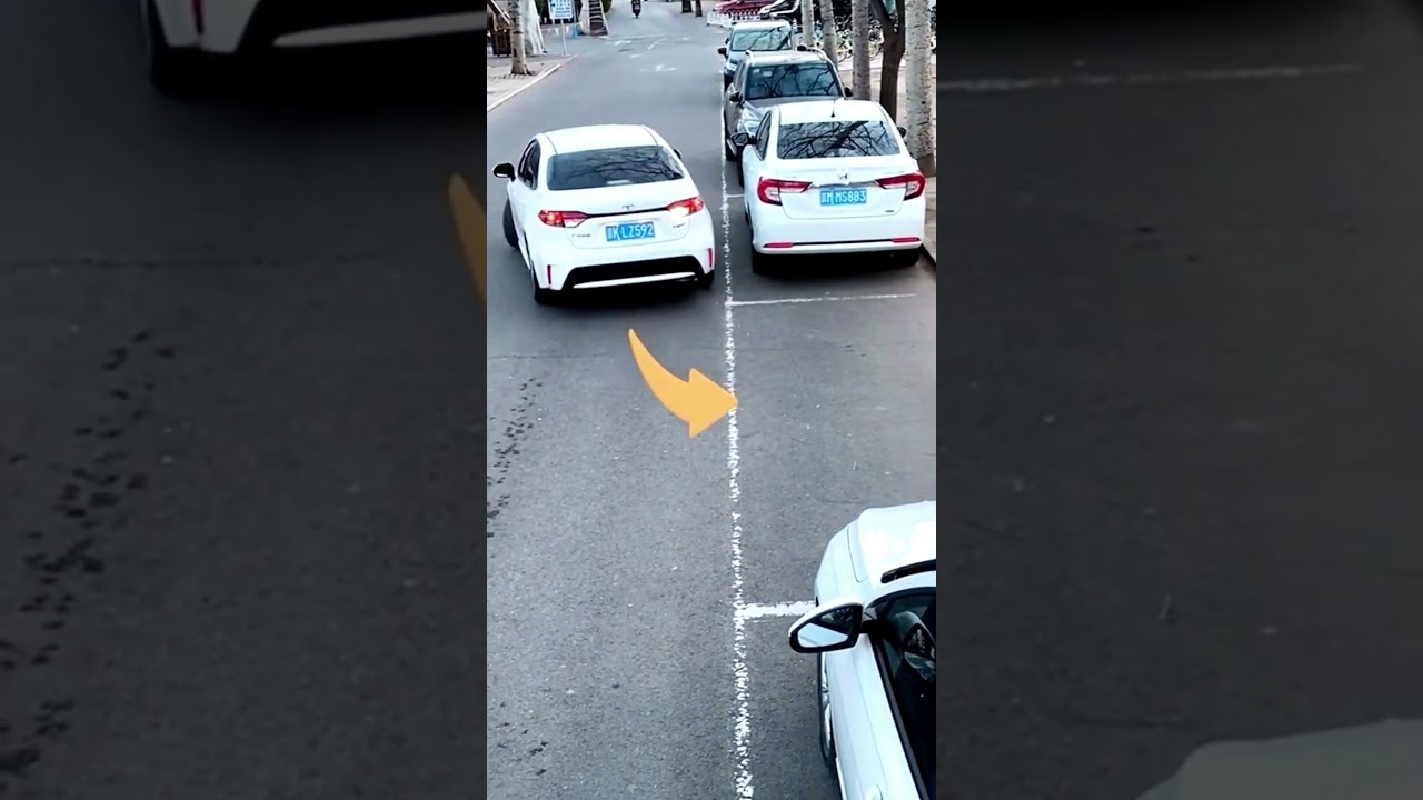 ESTACIONAMIENTO EN PARALELO