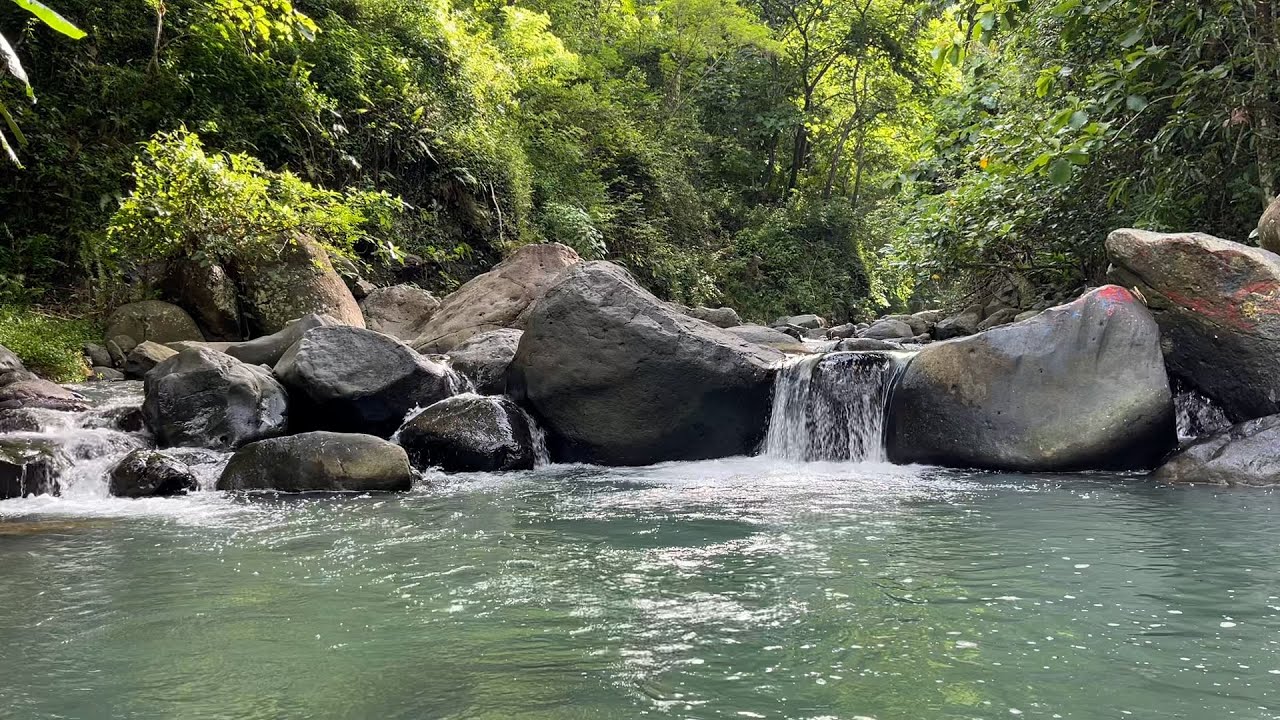 River Nature Sounds for Deep Sleep 🌊 Relaxing Water Flow for Insomnia Relief and Calm Mind