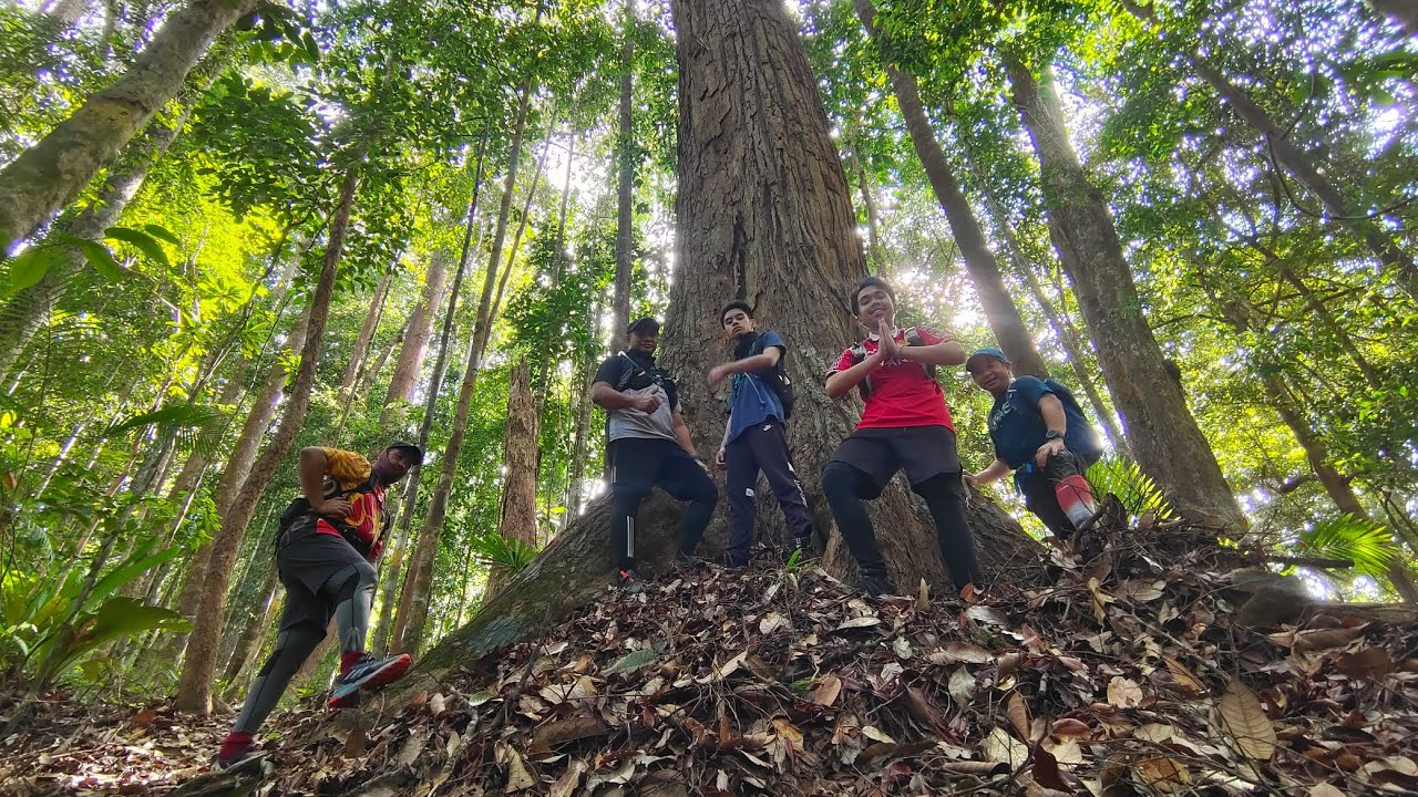 Pantu Hill & Waterfalls Lambir National Park Miri Sarawak