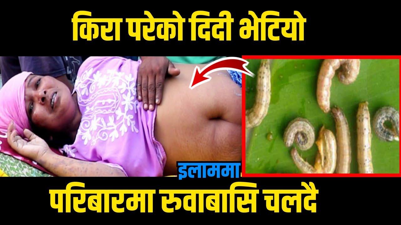 किरा परेकाे दिदी इलाममा भेटियाे/परिबारमा रुवाबासि चलदै/गाउलेहरुले सहयाेग गर्दै/