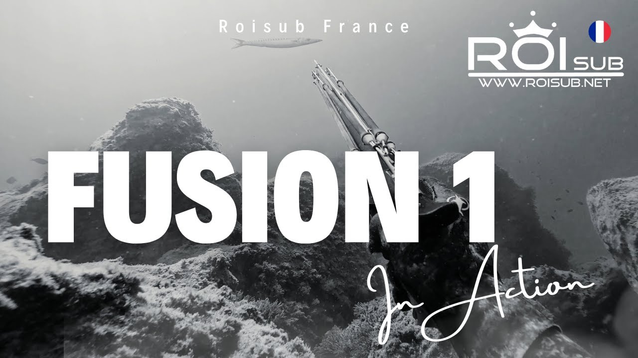 Fusion1 in action