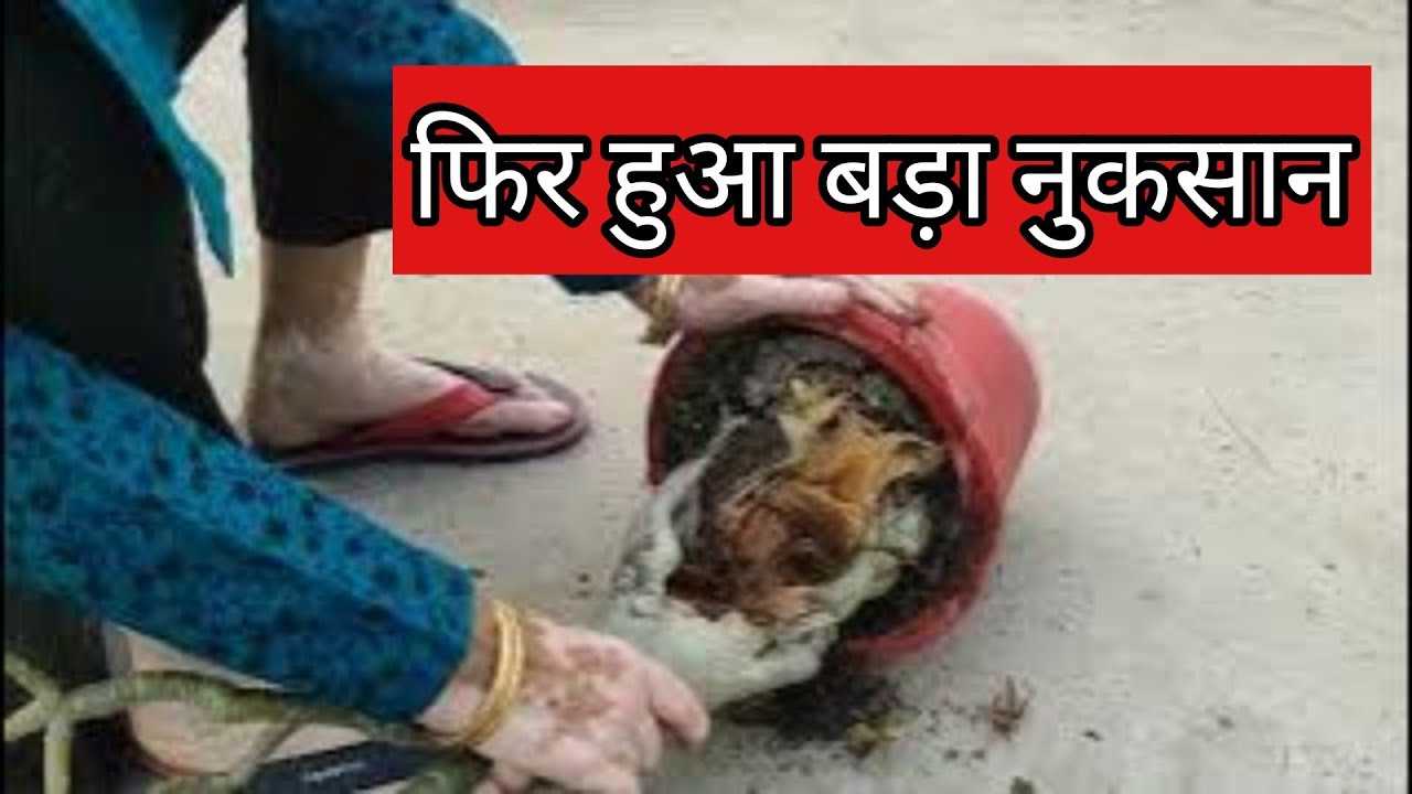 फिर हुआ बड़ा नुकसान 