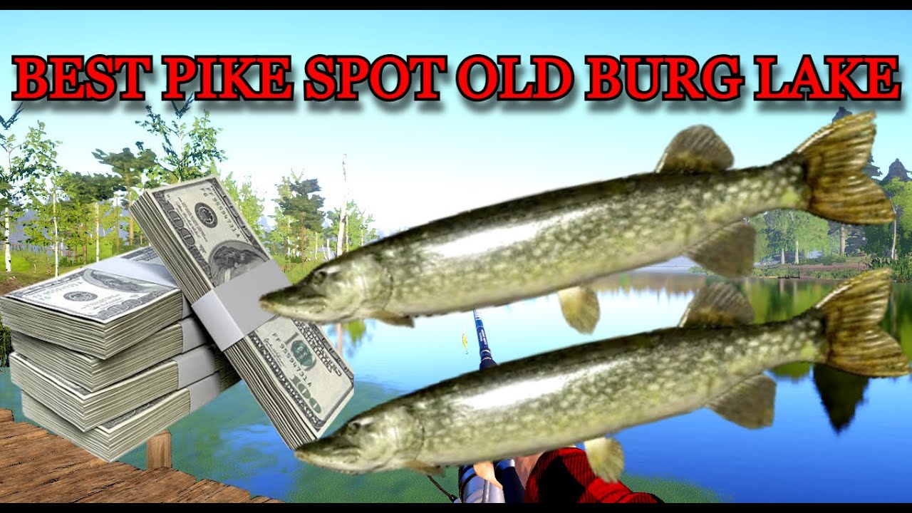 Russian Fishing 4 (RF4) Active PIKE spot on OLD BURG LAKE!