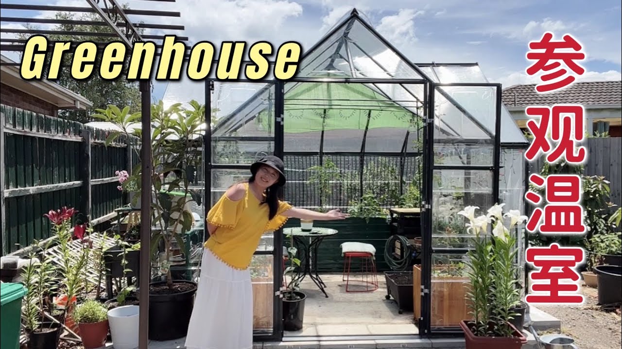 【种植63】参观温室，经验体会 + 如何选购 + 建造注意事项 Visit My Greenhouse, How to choose and build a greenhouse
