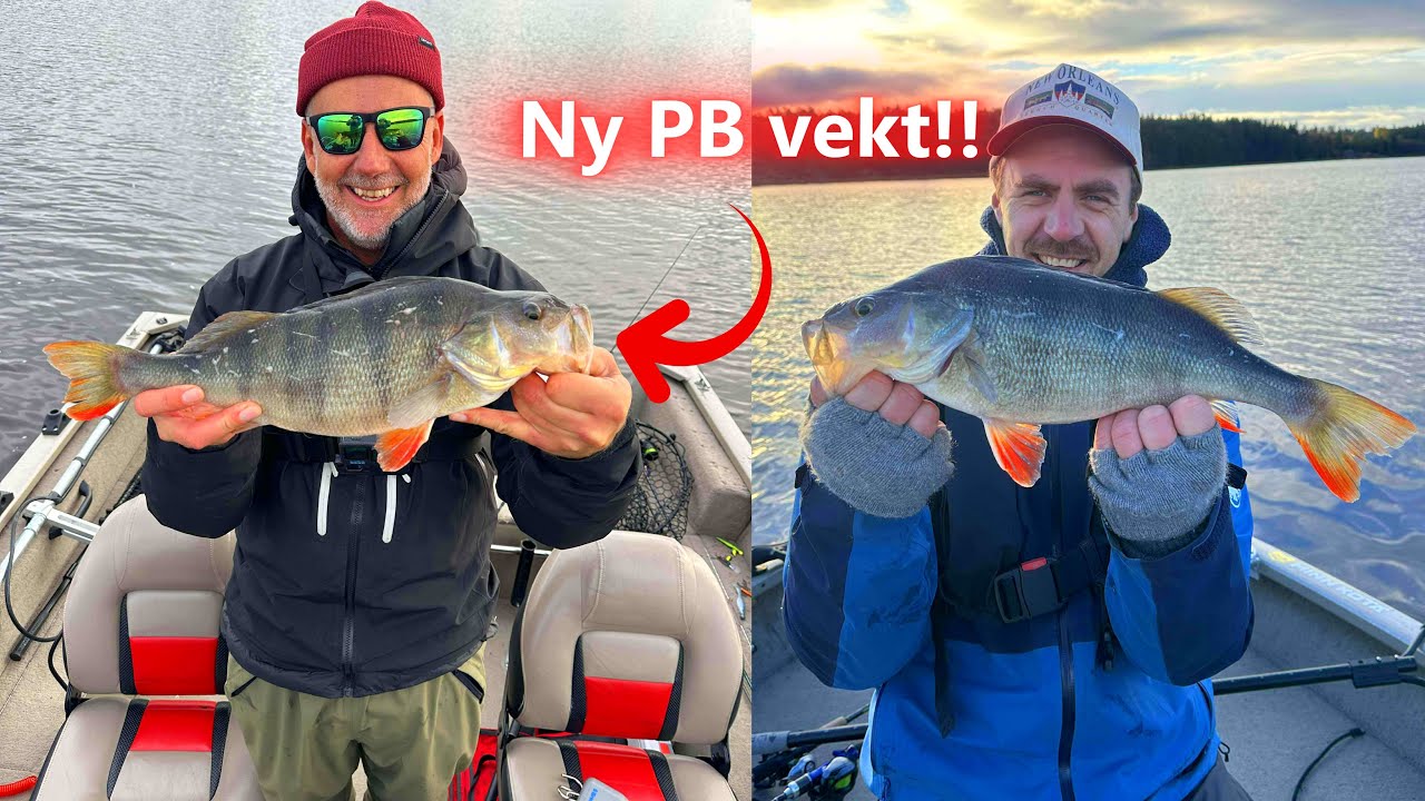 Over Kiloen Gang på Gang – og NY PB på 1560g!
