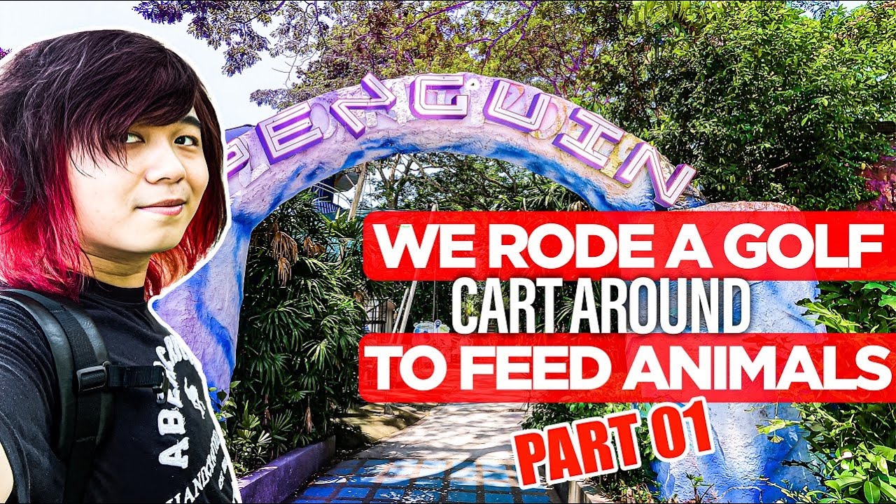 We Explored This Zoo In Thailand With A GOLF CART! Khao Kheow Open Zoo Animal Feeding  | PART 1