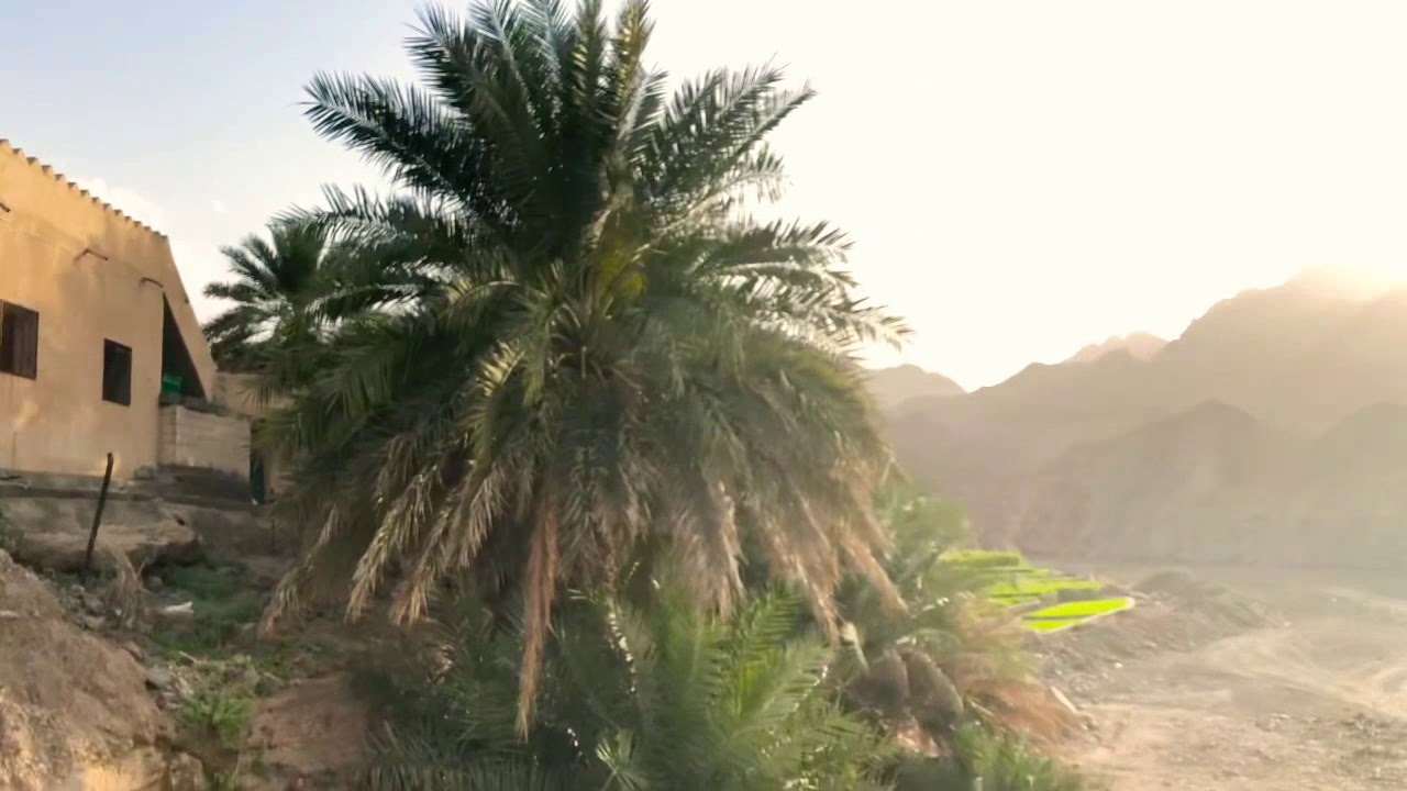 بلدة العرجلي | ولاية دماء والطائيين | محافظة شمال الشرقية | سلطنة عُمان | 26-2-2019