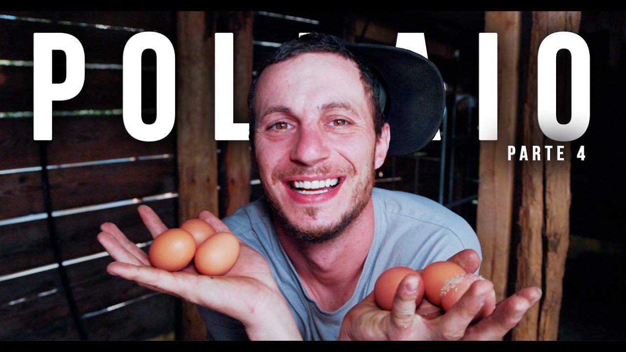 Il Pollaio è Finito (Ma le Galline Meritano di Più!) | PARTE 4