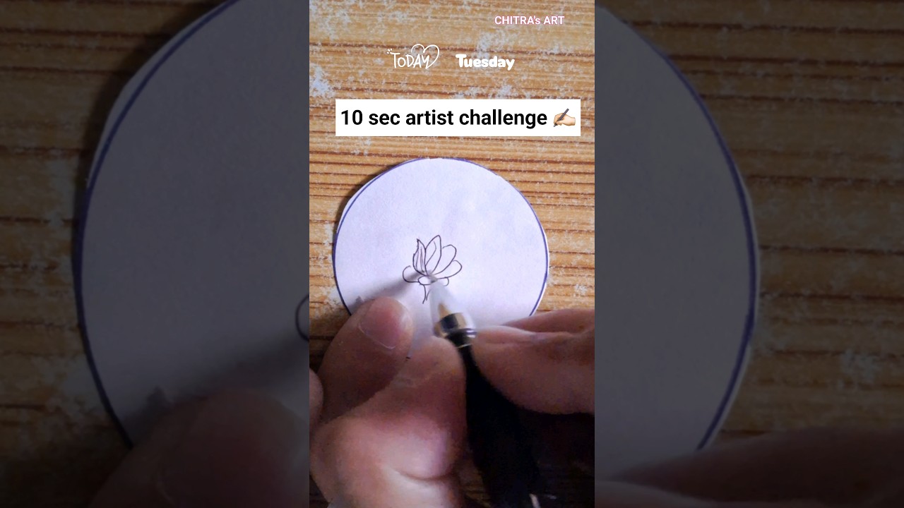 10 second artist challenge drawing ✍️🏻 ❄️ 