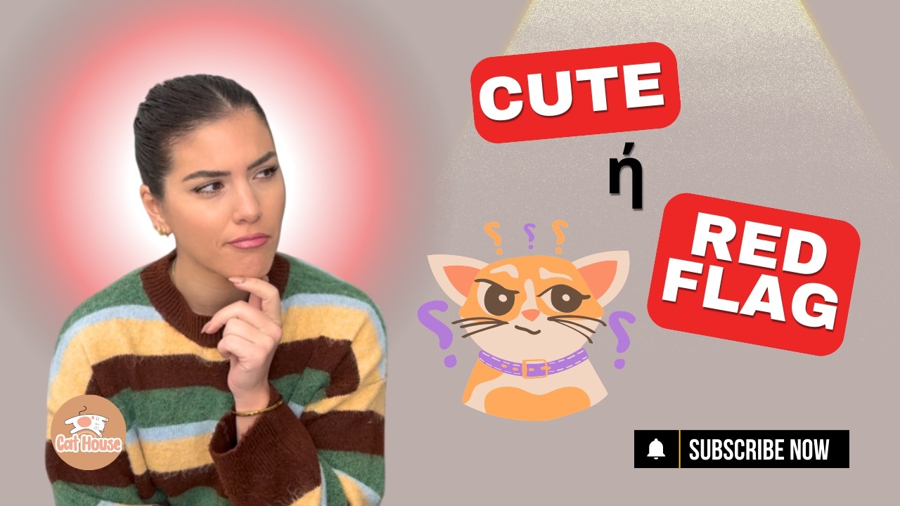 Cute...ή red flag; 7 Συμπεριφορές γάτας που νομίζετε χαριτωμένες, αλλά ΔΕΝ είναι!