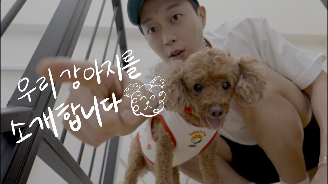 열 살 푸들