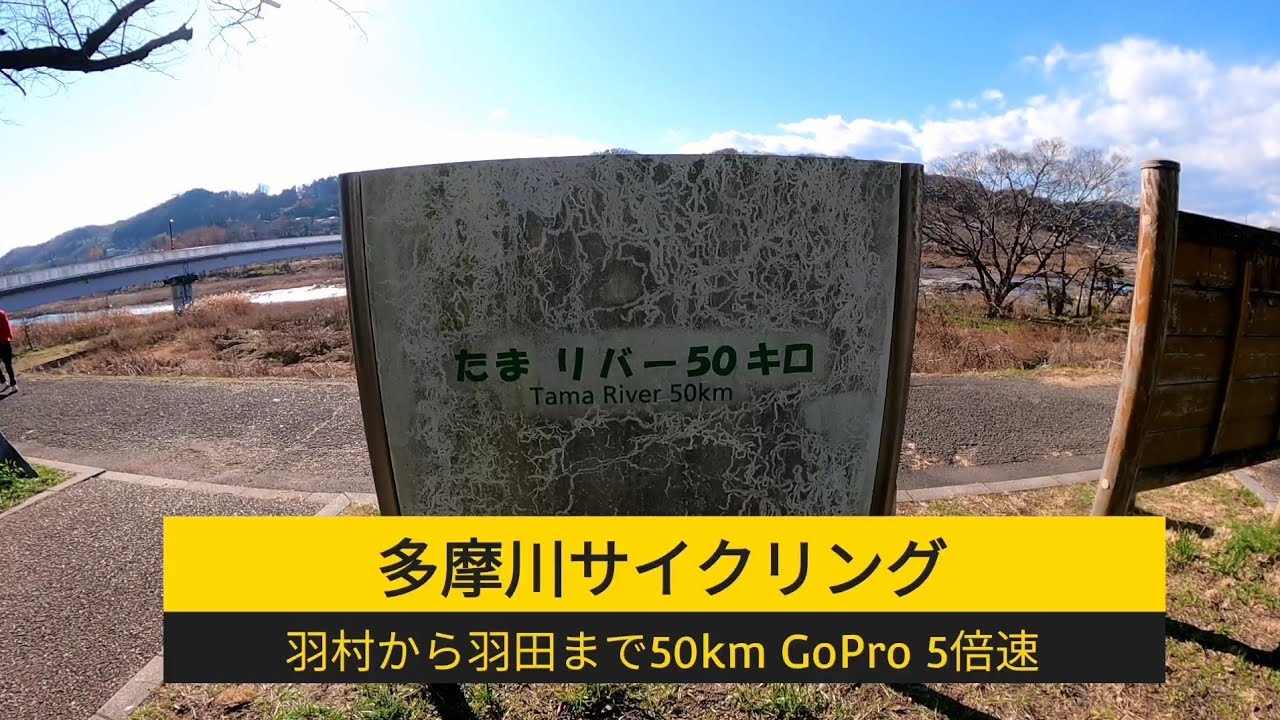 多摩川サイクリング羽村から羽田まで50km
