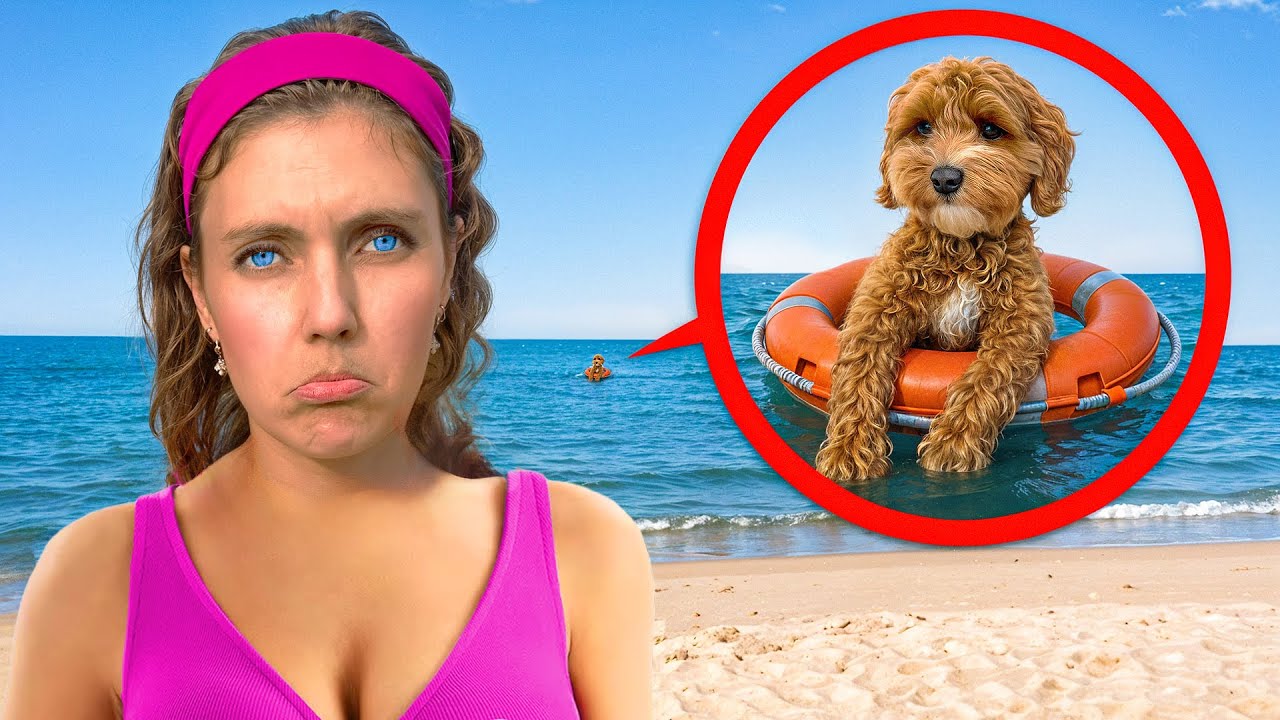 My DOG is MISSING at the BEACH