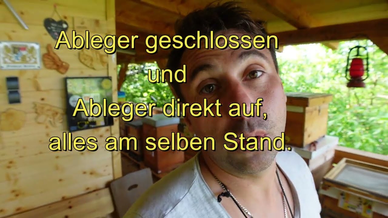 Ableger bilden bei den Bienen Spezial.