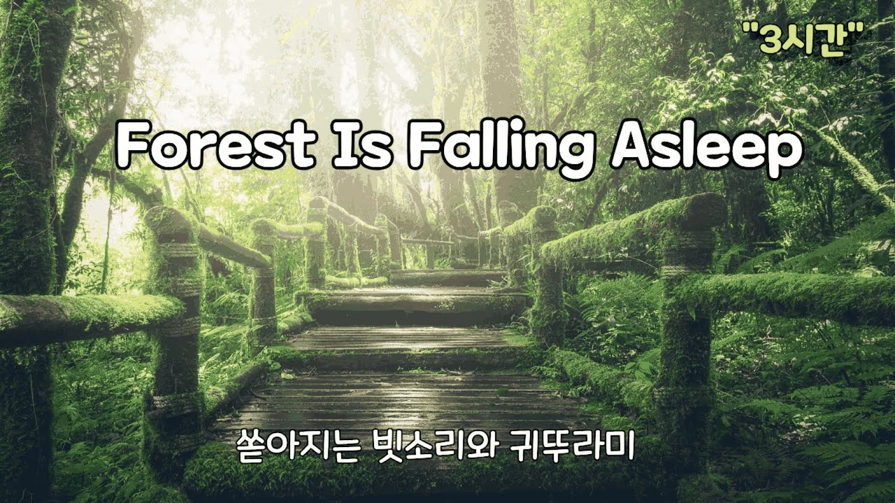 수면음악 3시간 (쏟아지는 빗소리와 귀뚜라미 소리) 불면증음악 스트레스해소음악 명상음악