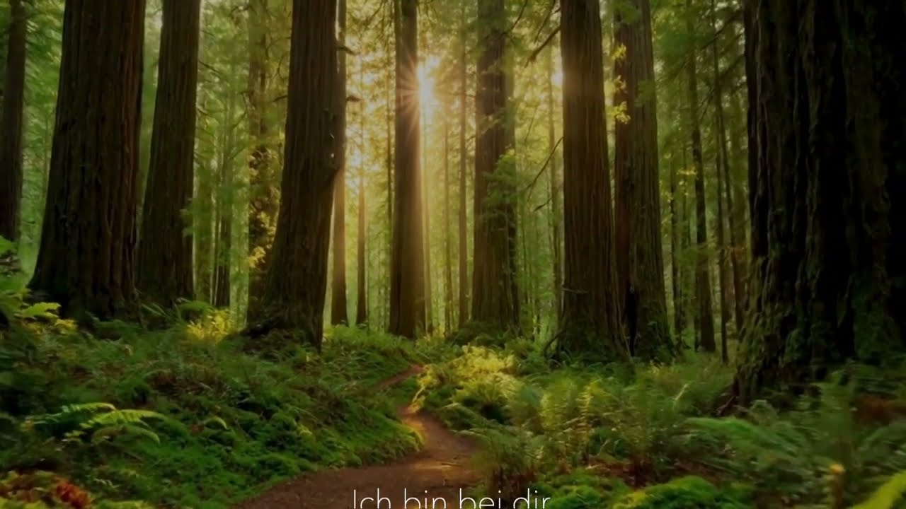 Ich bin bei dir | Daniel L. Burgess (Ilona Schuster Cover)