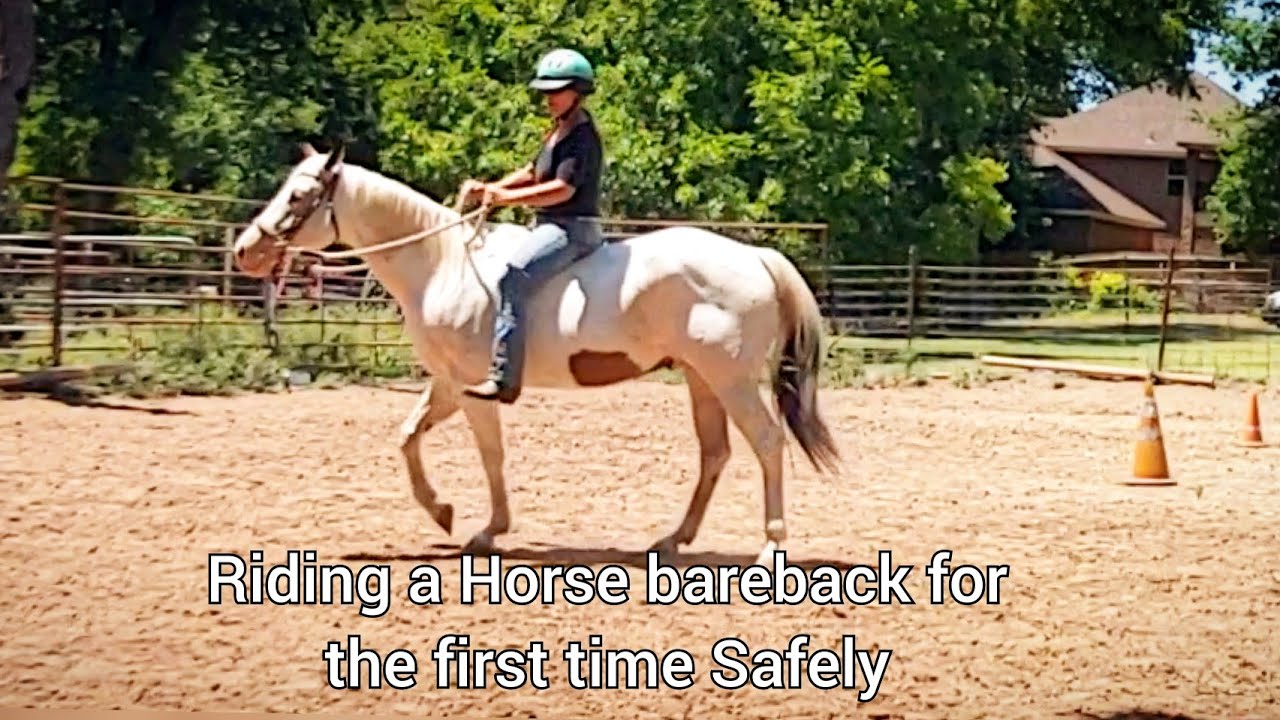 Bareback Riding the safe way - mounting block, Test The buttons, desensitization