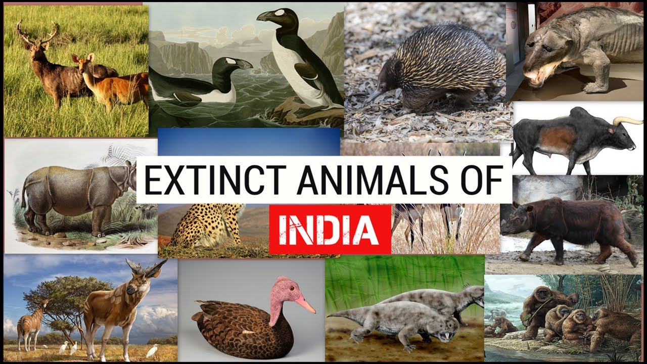 EXTINCT ANIMALS OF INDIA | SIMBEN