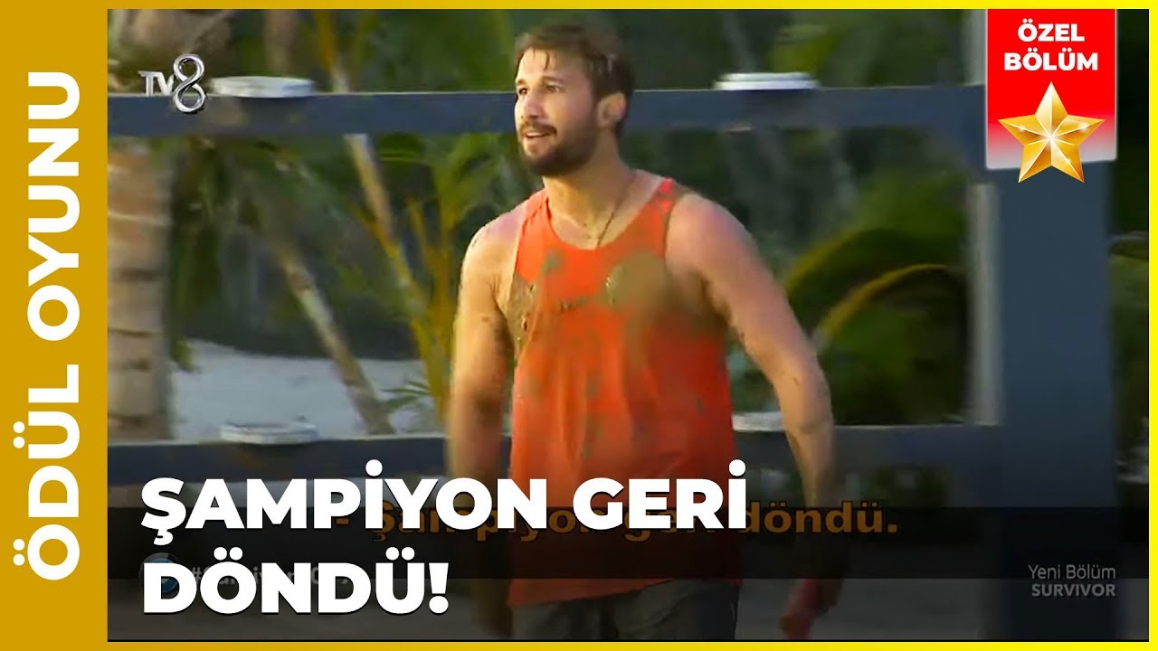 Yıldızlar Yarışı 4. Kısım - Survivor 81. Bölüm