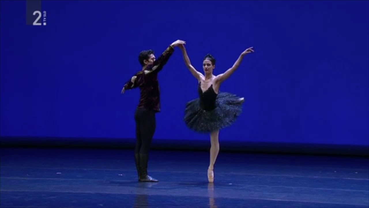 Susanna Salvi and Petar Dorcevski - Black Swan pdd