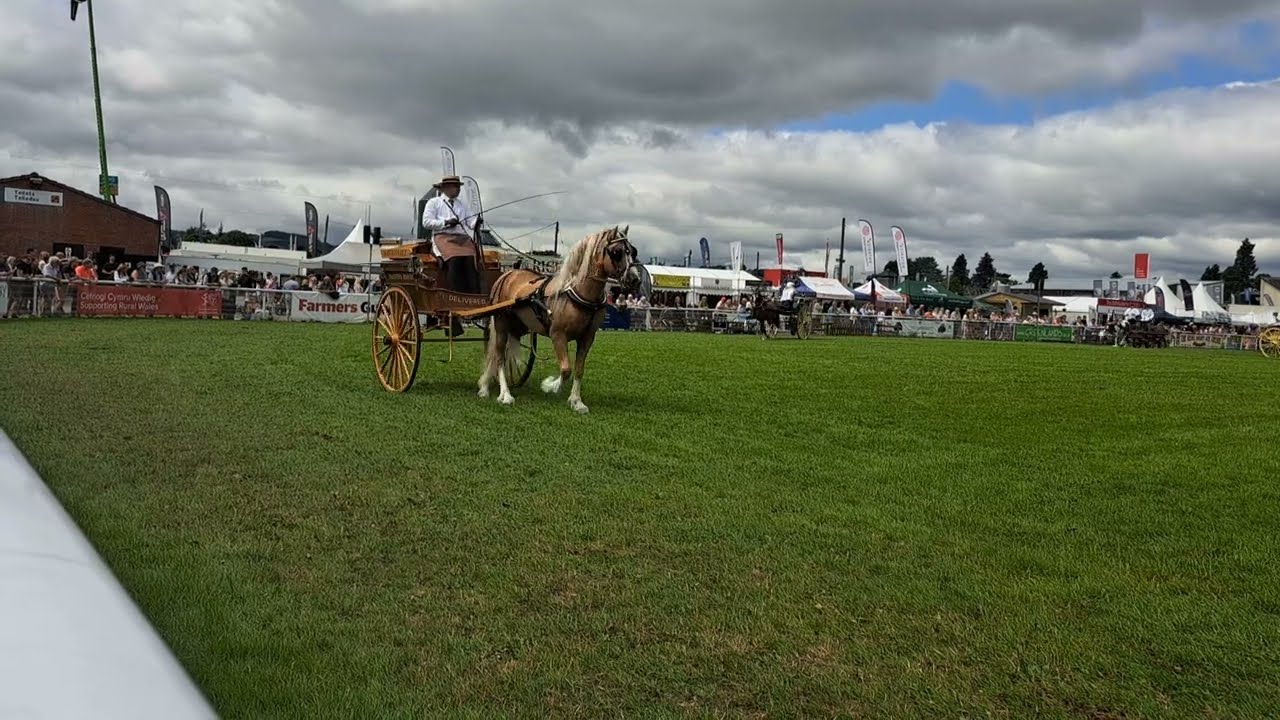 Royal Welsh trade driving class 2024