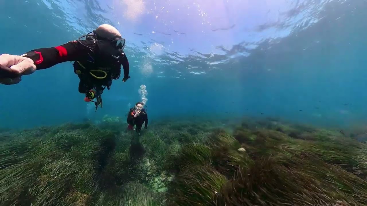 Buceo Tabarca