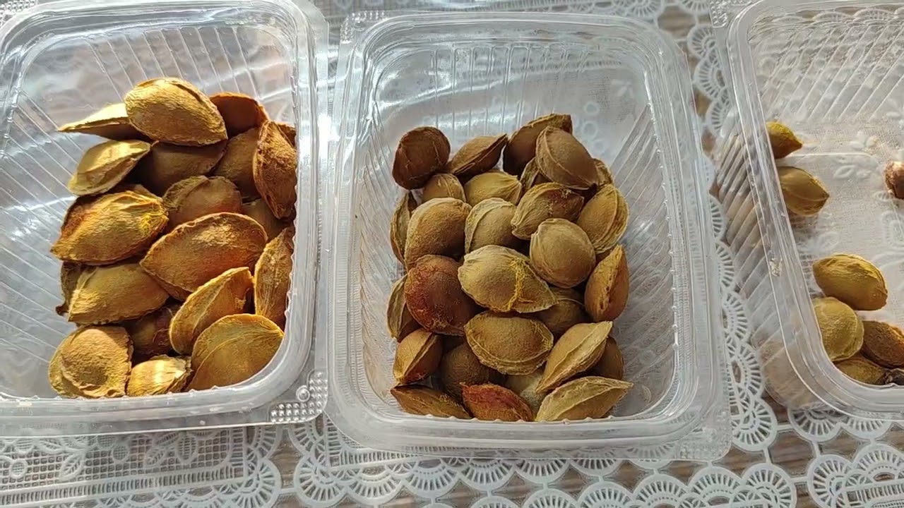 Абрикосы из косточек. 