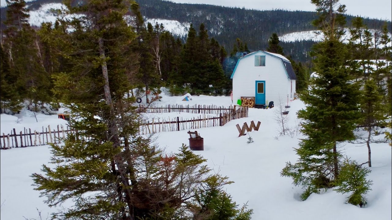 We ran out of hay | Ep. 23 | The Homestead Diaries