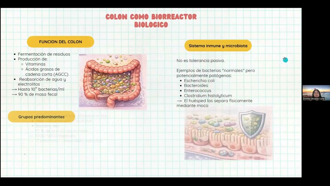 Neoplasias - Clase 3 (Expo 4)