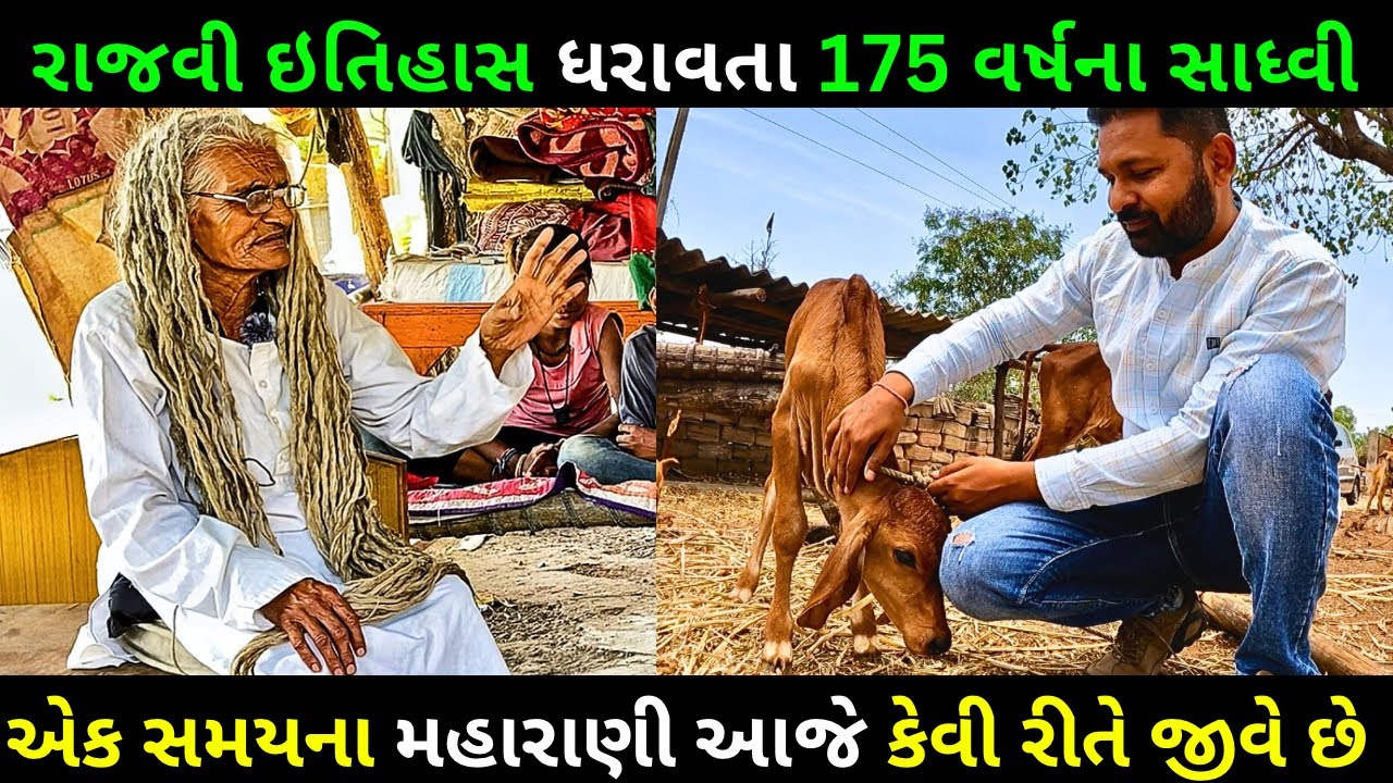 175 વર્ષના આ સાધ્વી રજવાડું છોડીને સાધ્વી બની ગયા || Royal Family || Sadhu