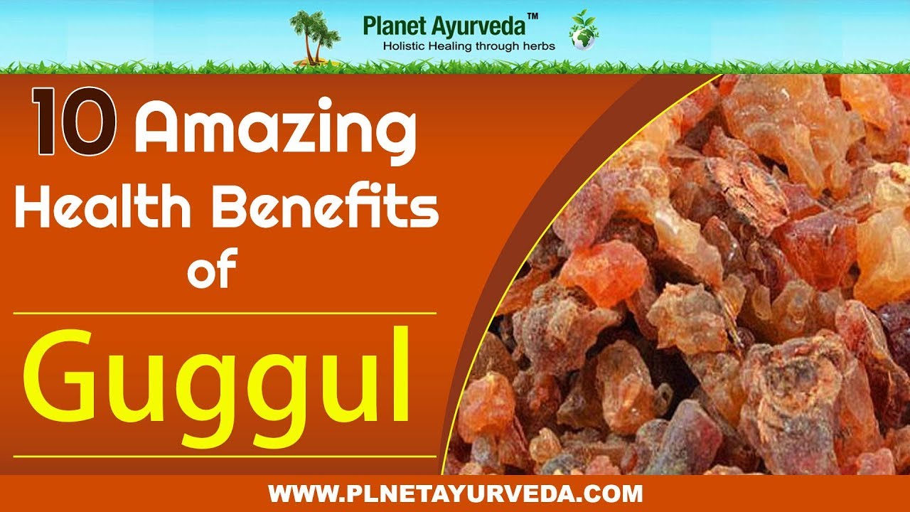 10 Amazing Health Benefits of Guggul (Commiphora Mukul)