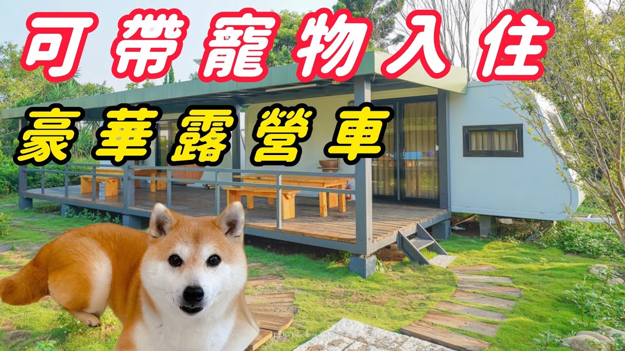 寵物入住露營車 業主現身說出不為人知的秘辛！