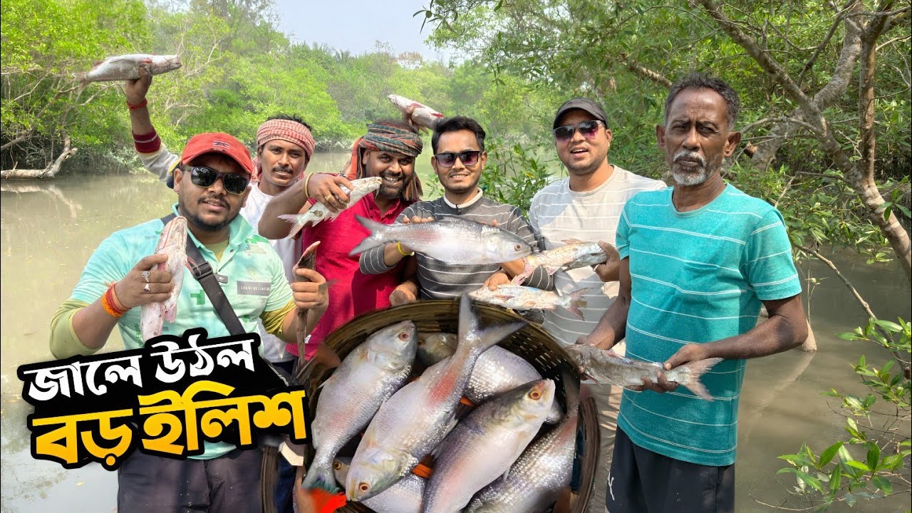 সুন্দরবনের নদীতে জাল ফেলতেই উঠল রুপোলি ইলিশ! 😱 জ্যান্ত ইলিশ ধরার রোমাঞ্চ। Hilsa Fishing in Sundarban
